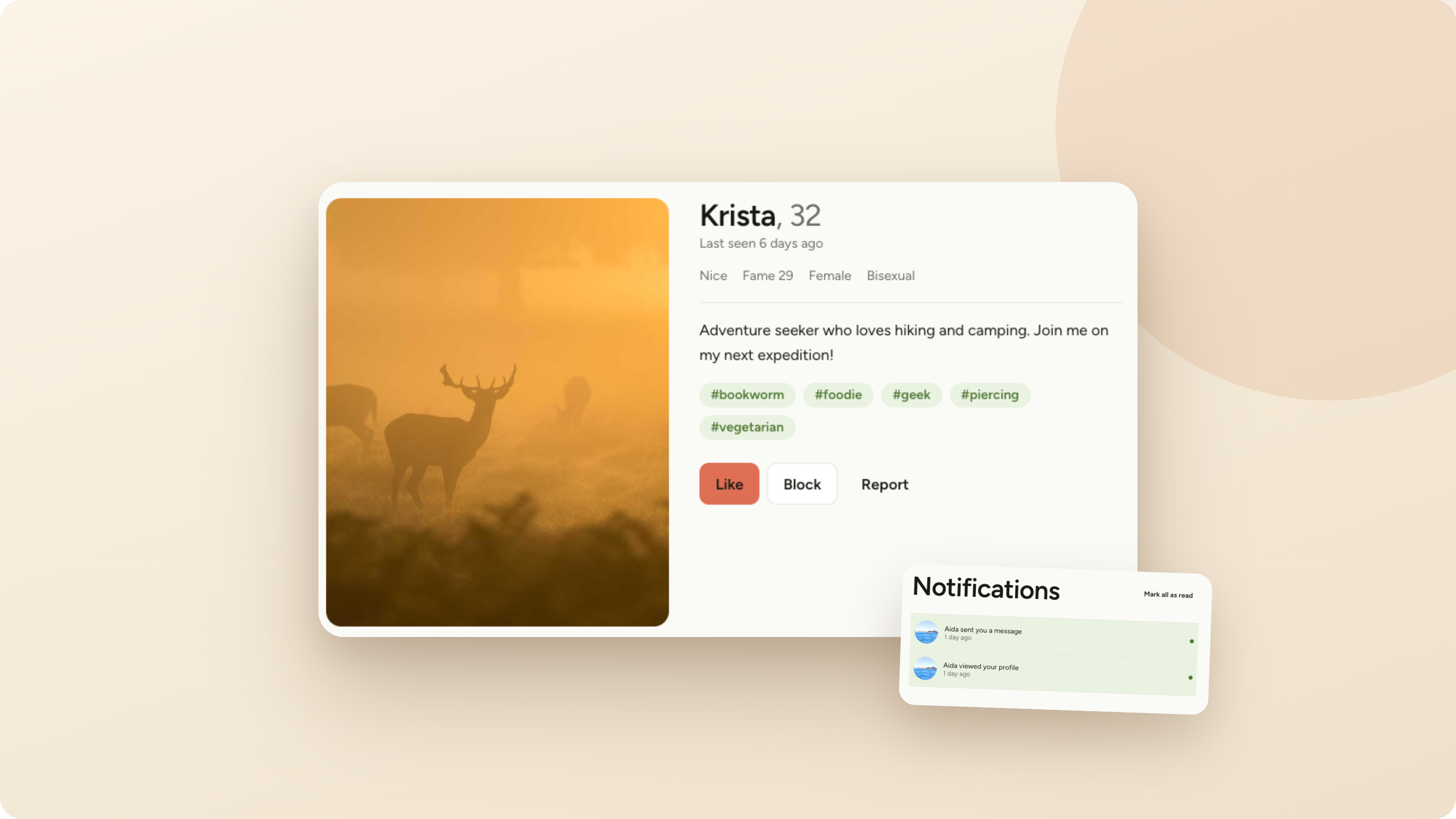 Matcha profile detail with tags, like/block/report actions, and a live notifications panel